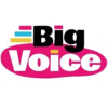 BIG VOICE LTD