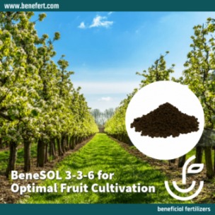 GRANULAR ORGANIC FERTILIZER BENESOL 3-3-6 