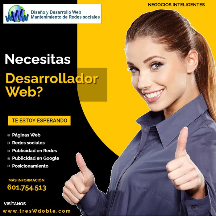 Desarrollo Web